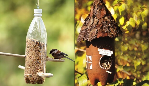 Hegyvidéki Madáretető