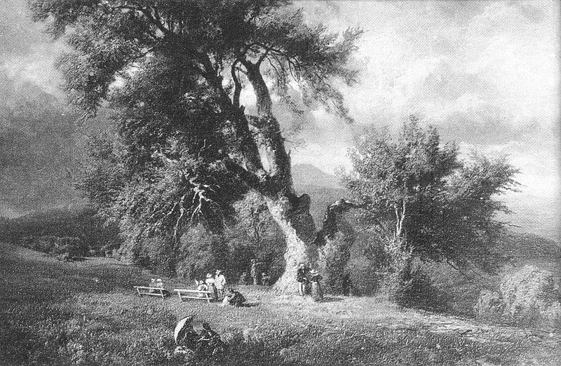 A Normafa legendái – KultSzalon