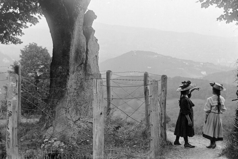 Helytörténeti séta – Normafa és környéke