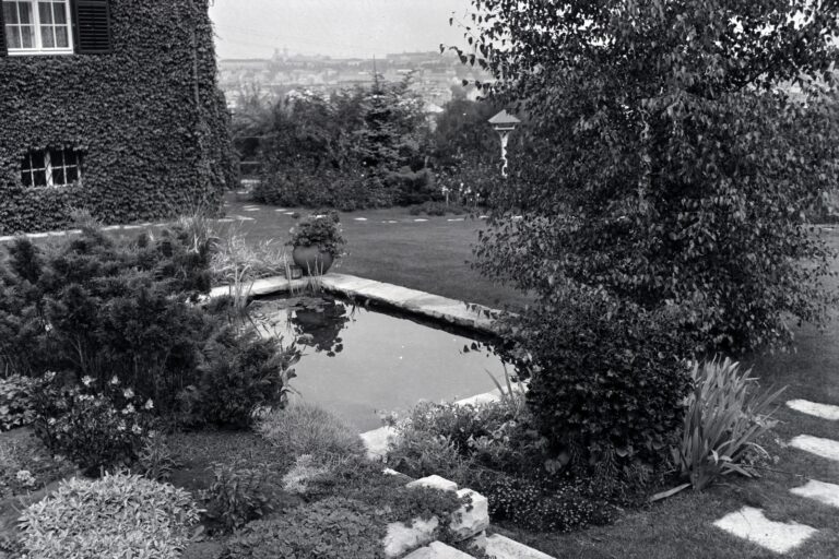 Vízben rejlő értékeink