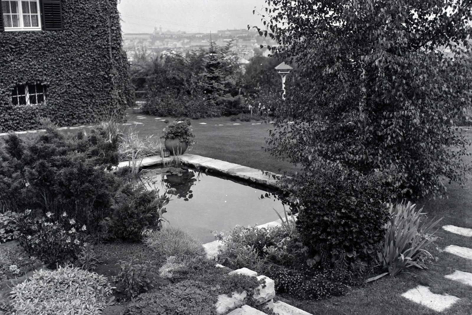 Vízben rejlő értékeink